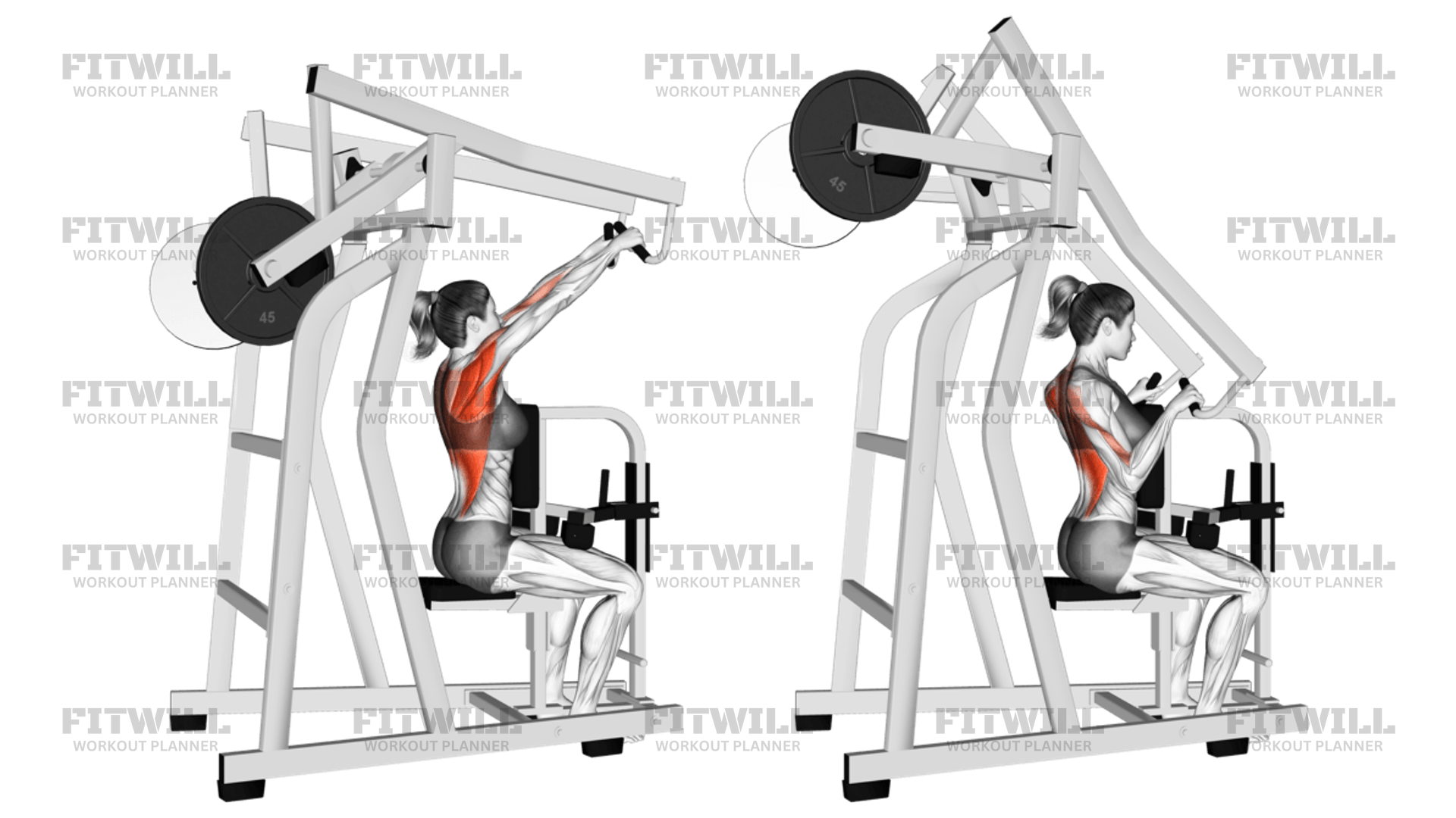 Lever High Row (plate Loaded): Exercise Guide, Video, Techniques ...