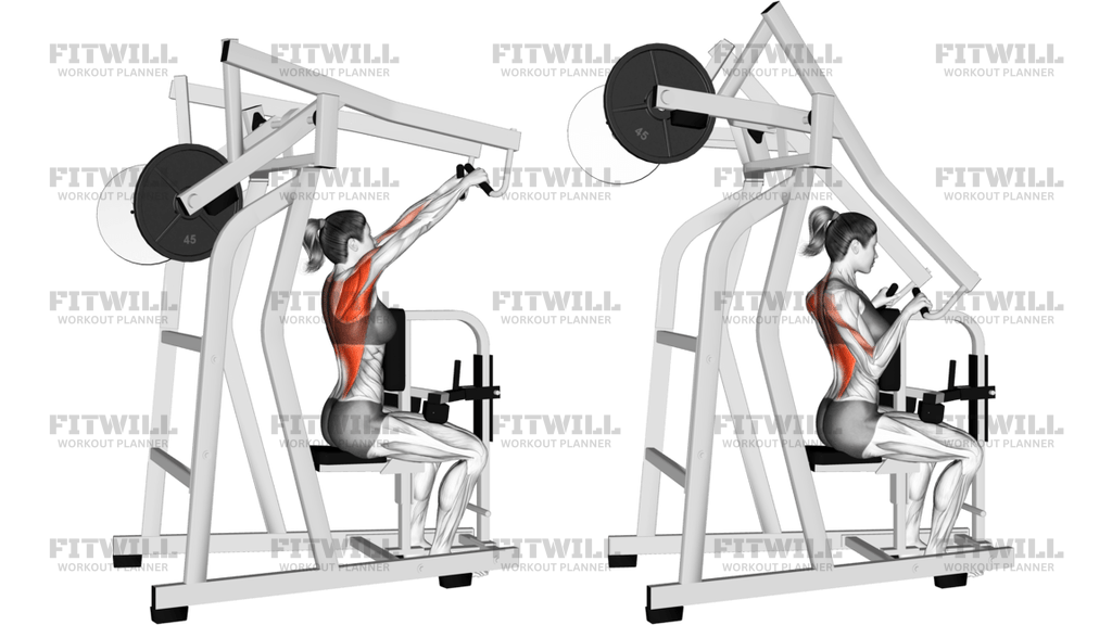 Lever High Row Plate Loaded