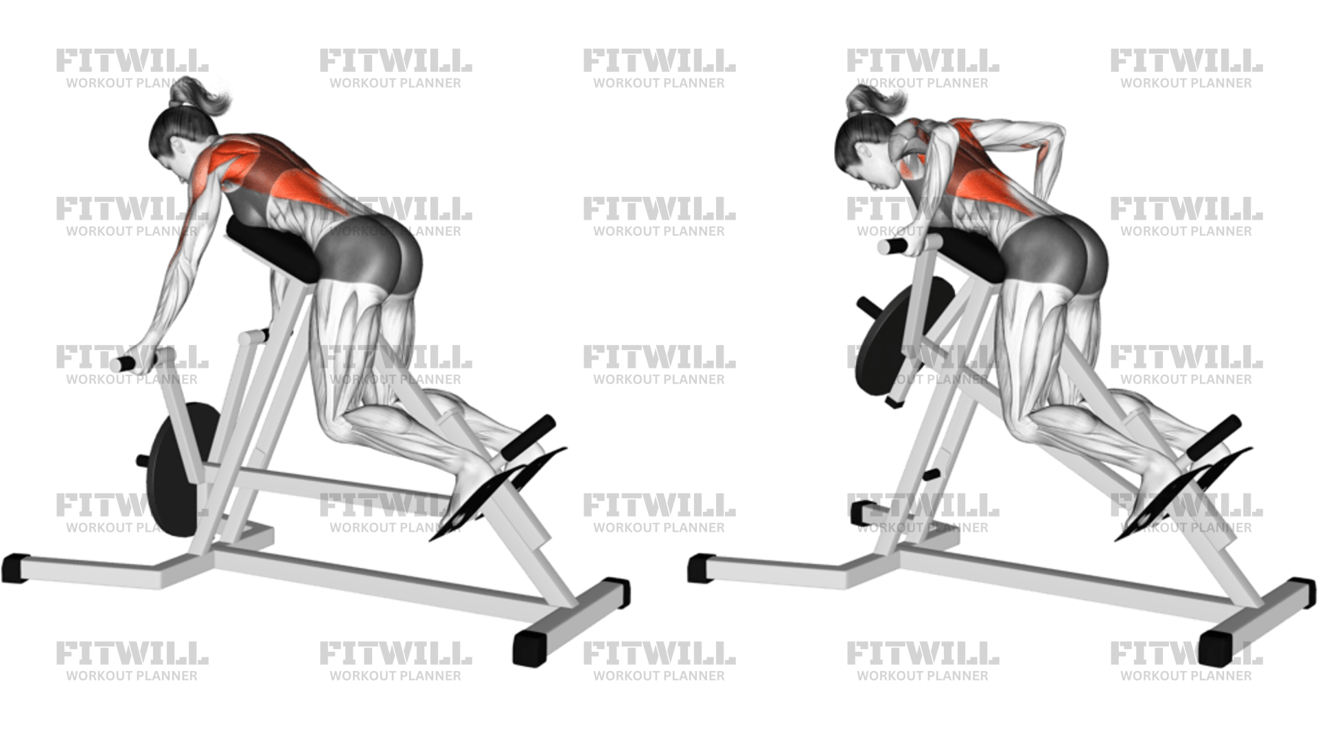 Lever Reverse T-Bar Row: Exercise Guide, Video, Techniques, Benefits ...