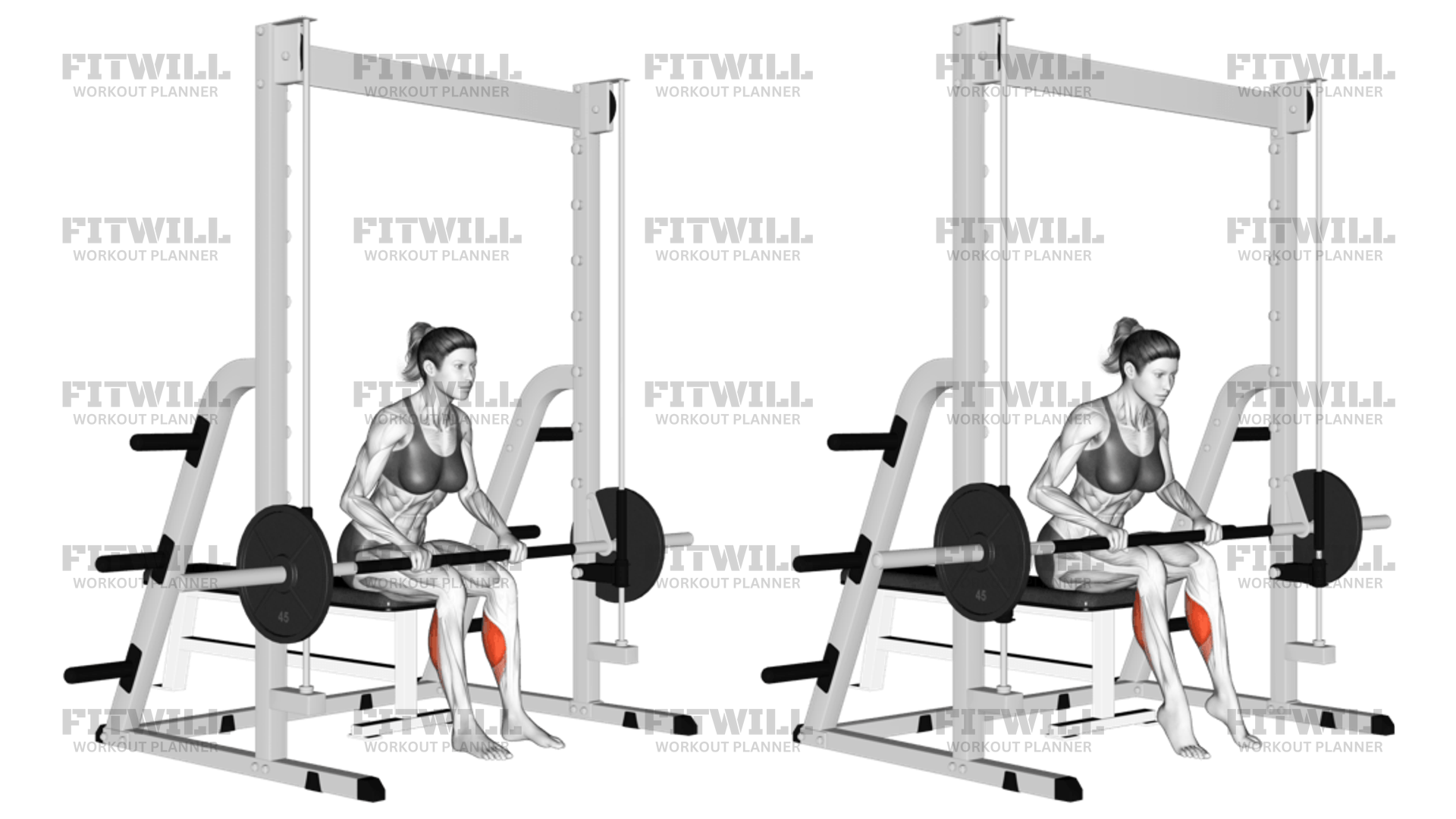 スミスマシンカーフレイズ: エクササイズガイド、テクニック、利点、方法、働く筋肉、ヒント＆トリック | Fitwill