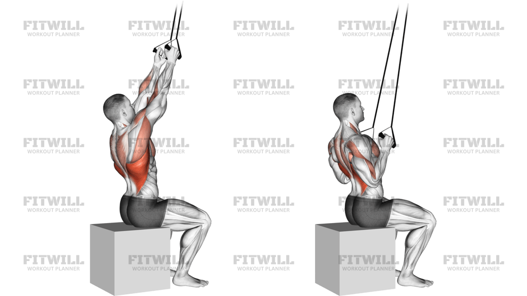 Band Fixed Back Close-Grip Pulldown