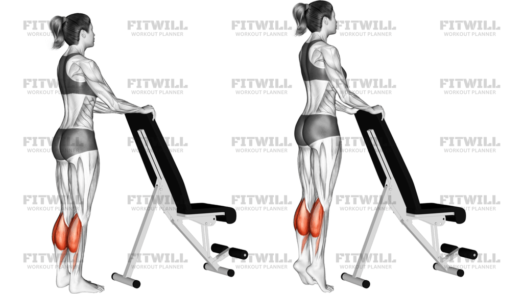 Standing Calf Raise With Support