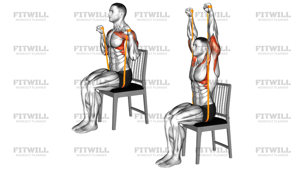 Resistance Band Seated Shoulder Press