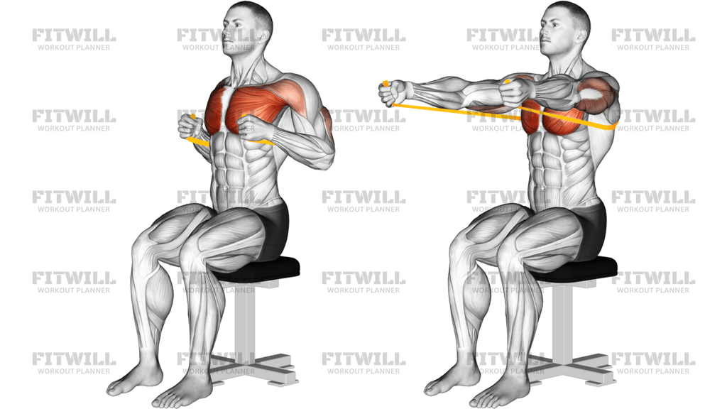 Resistance Band Seated Chest Press