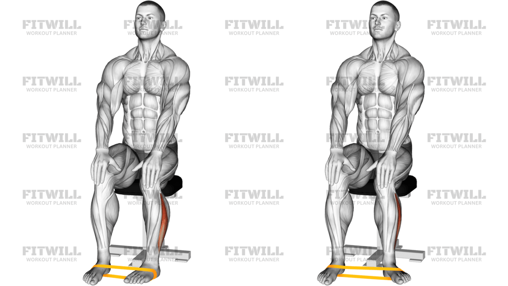 Resistance Band Foot External Rotation