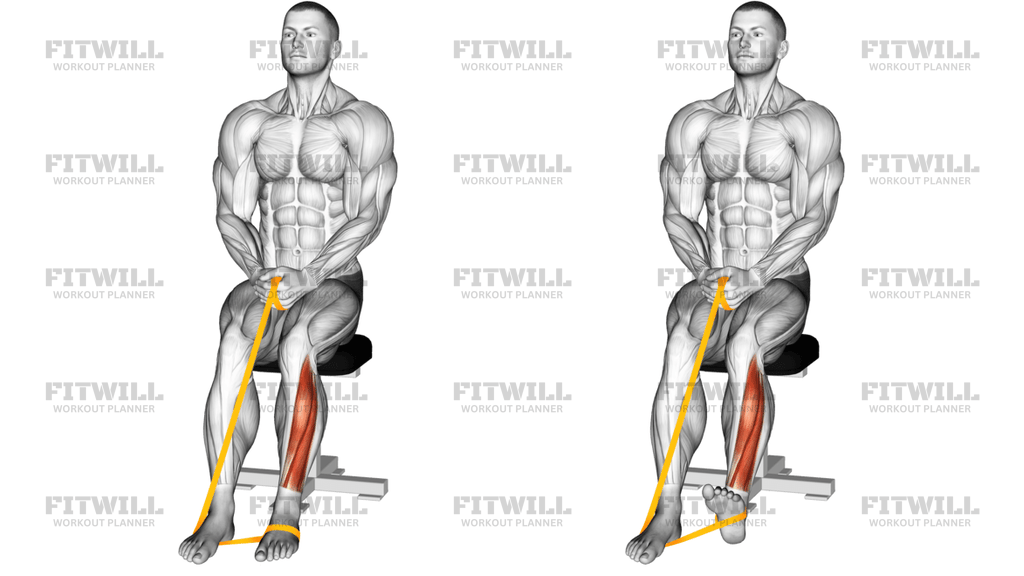 Flexia Plantară A Piciorului Cu Bandă Elastică