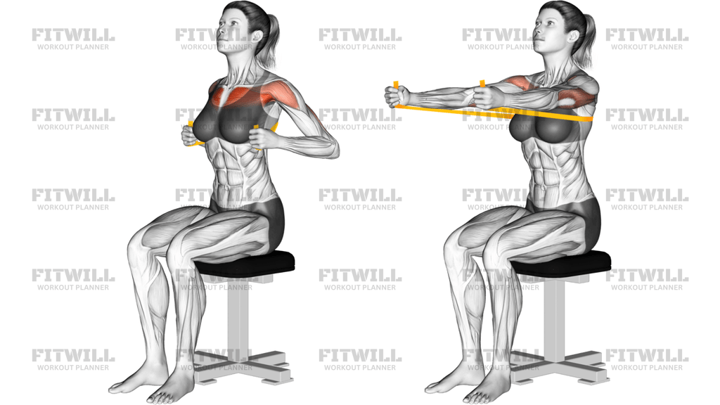 Resistance Band Seated Chest Press