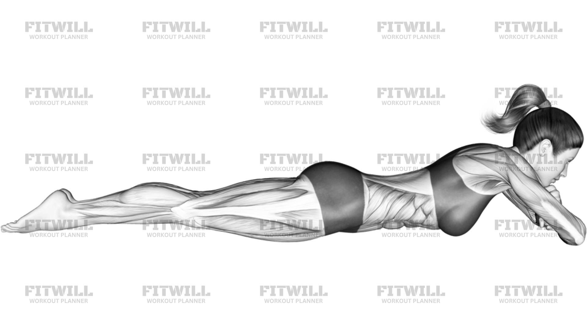 Static Position Lying Front: Exercise Guide, Techniques, Benefits, How ...