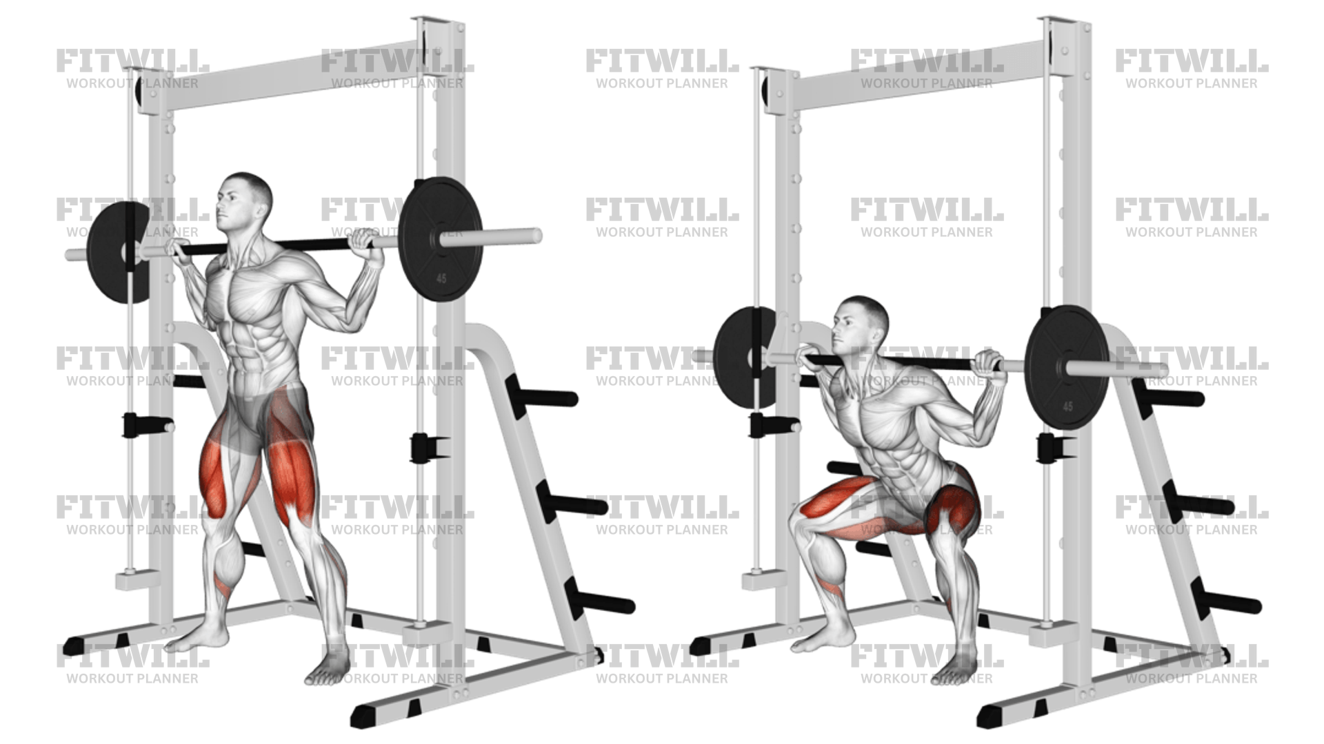 Sumo hack squat sale