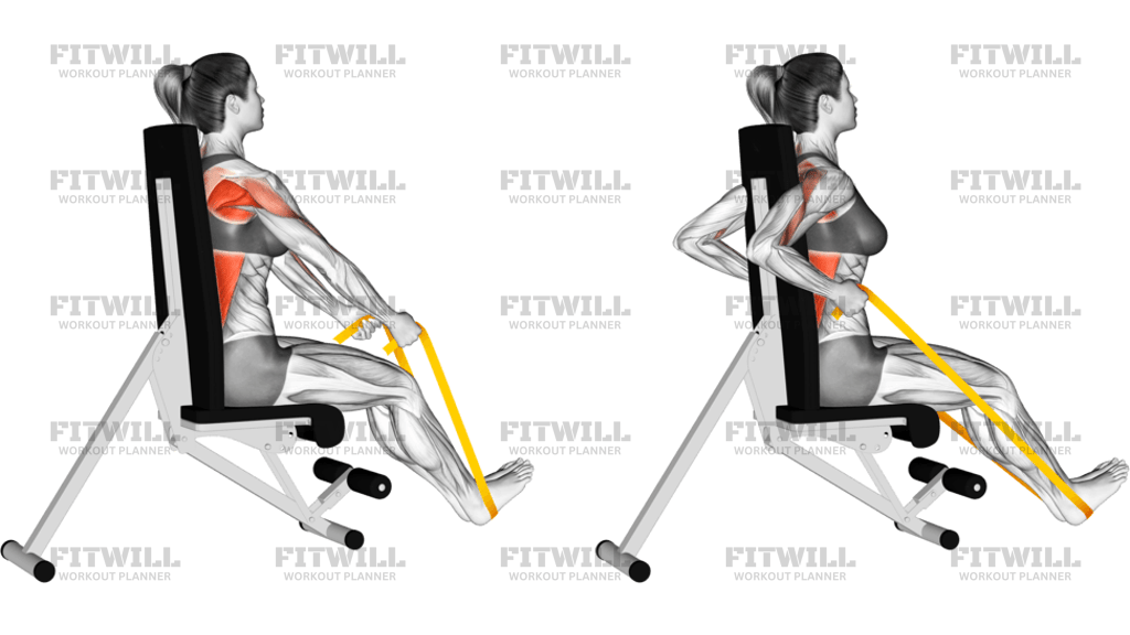Resistance Band Seated Straight Back Row
