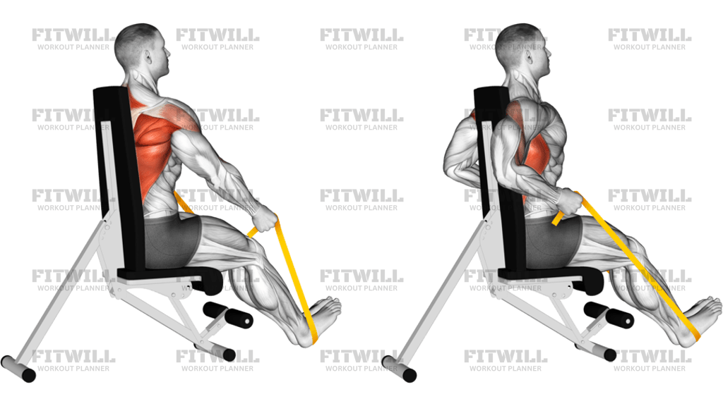 Resistance Band Seated Straight Back Row