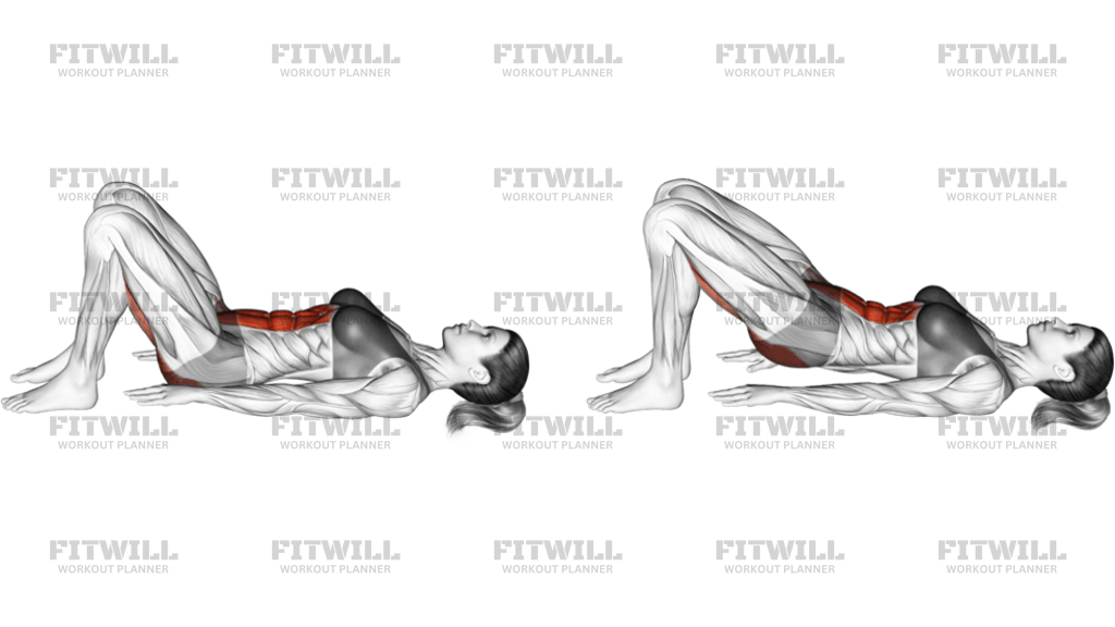 Pelvic Tilt