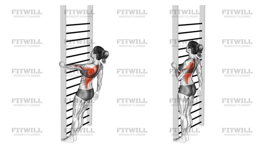 Bodyweight Standing Close-grip One Arm Row: Guide, Techniques, Benefits ...