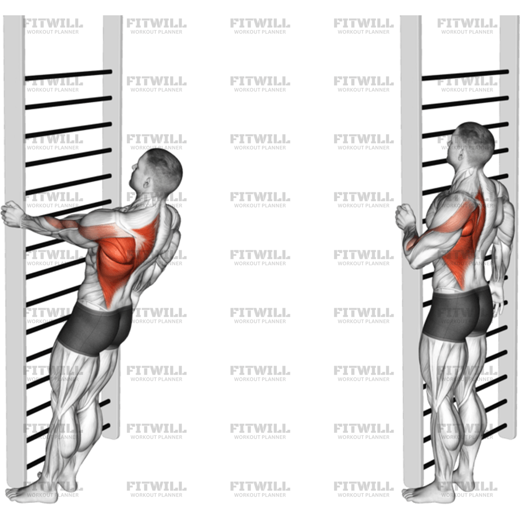 Bodyweight Standing Close-Grip One-Arm Row: Exercise Guide, Video ...