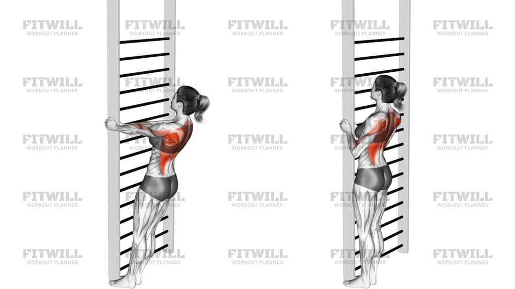 Bodyweight Standing Close-Grip Row