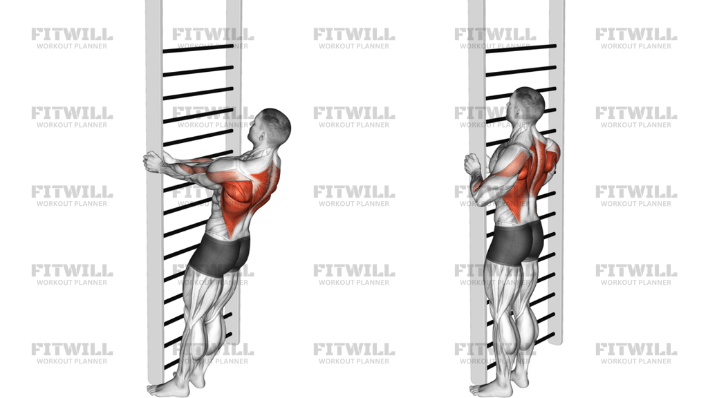 Bodyweight Standing Close-Grip Row