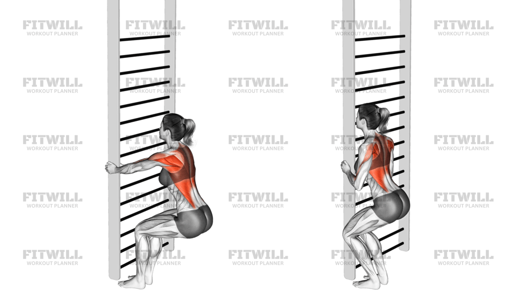 Bodyweight Squatting Row
