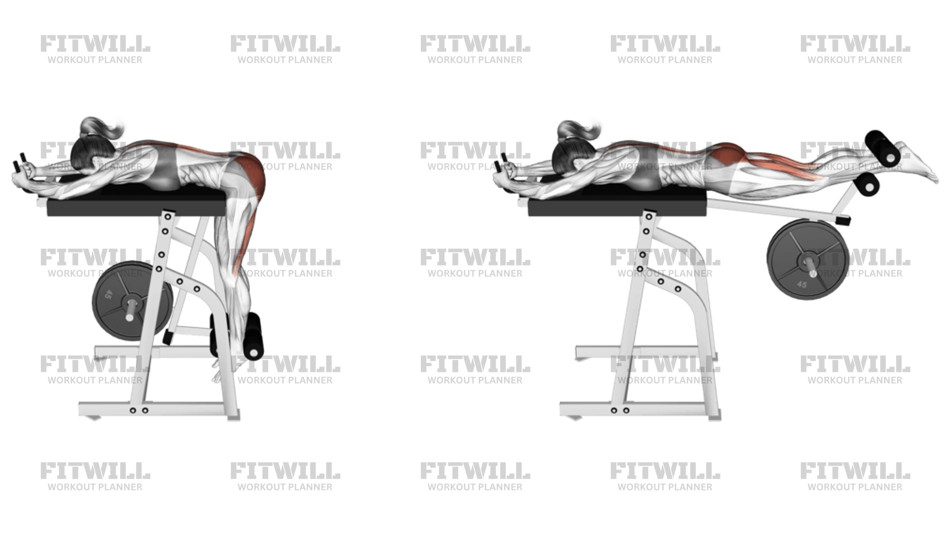 Lever Reverse Hyperextension (plate Loaded): Exercise Guide, Video ...