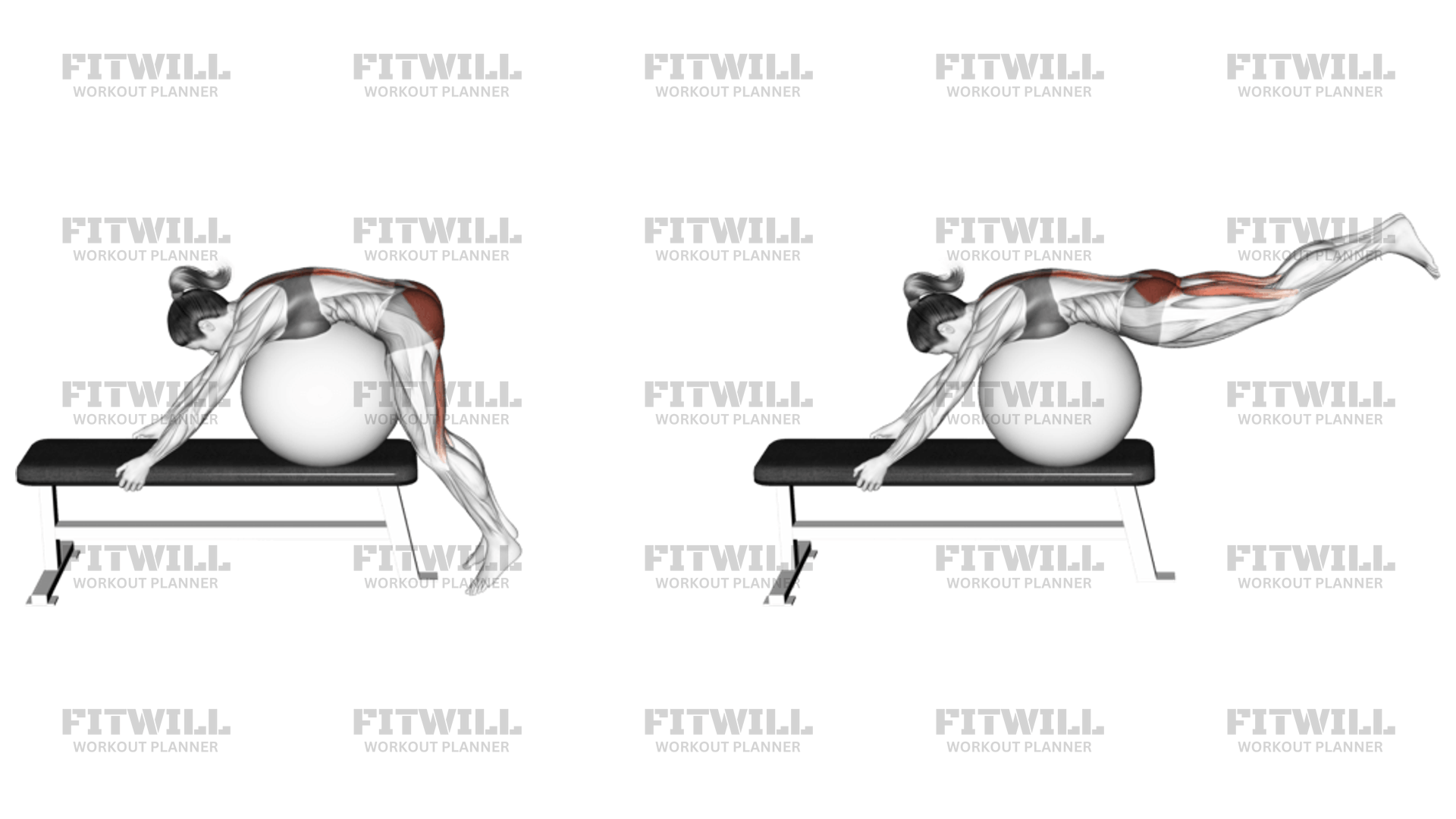 How to do Stability Ball Reverse Hyperextension (off a bench) (female