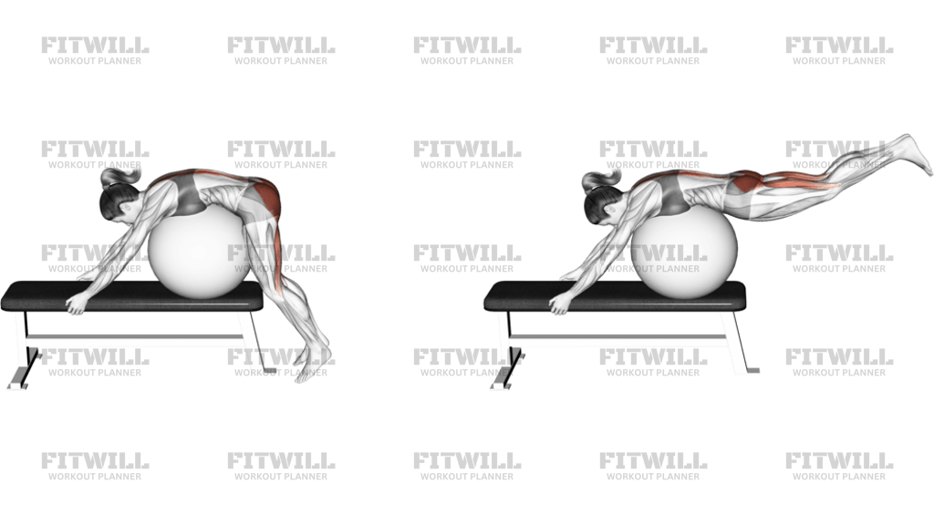 Stability Ball Reverse Hyperextension Off A Bench