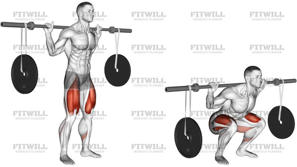 Barbell Squat With Hanging Band Technique