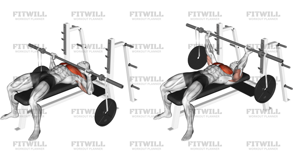 Barbell Bench Press With Hanging Band Technique