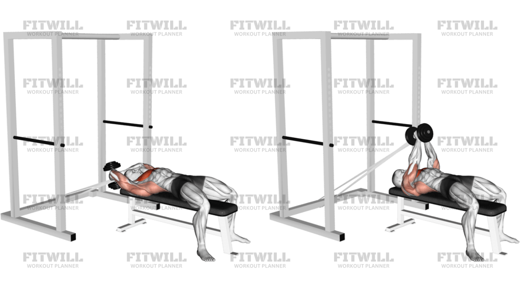 Dumbbell Straight Arm Pullover With Hanging Band Technique