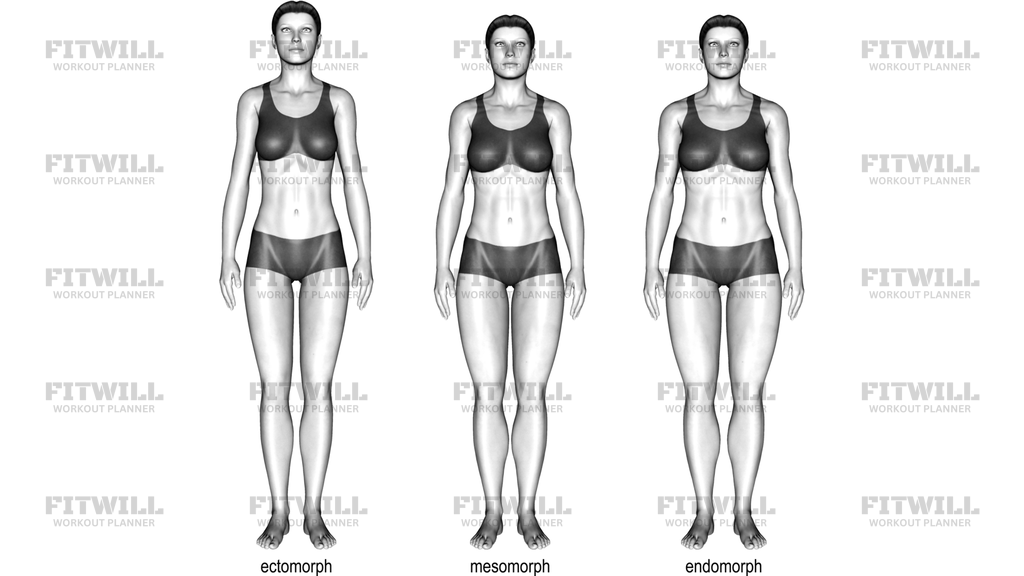 Body Type
