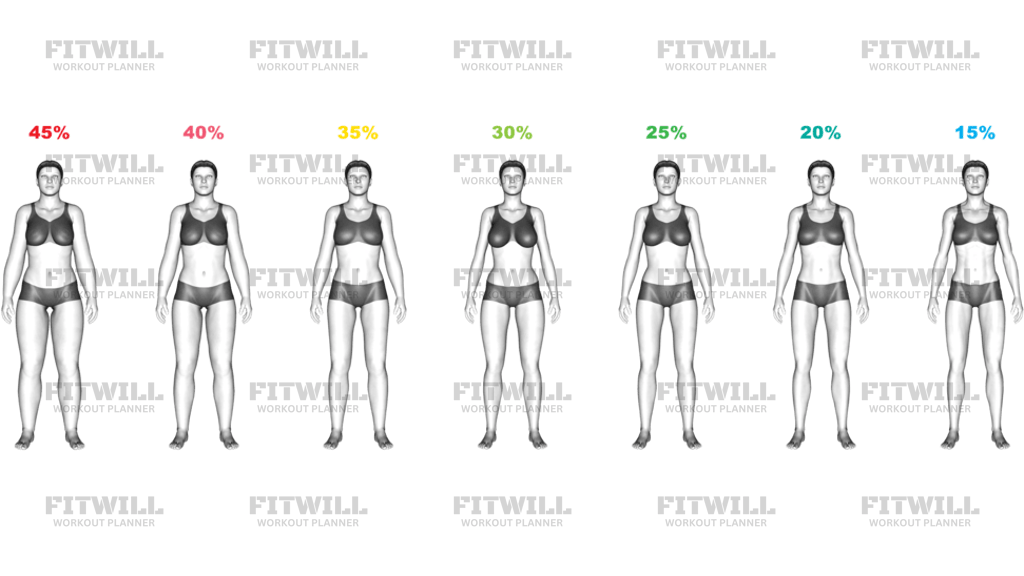 Body Fat Percentage