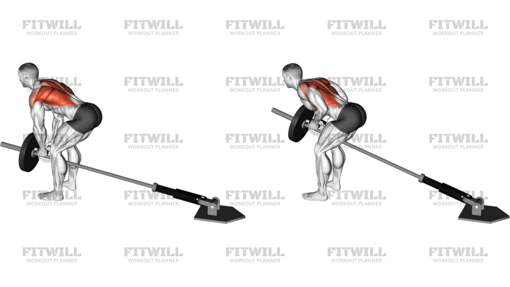 Lever Bent-Over Row With V-Bar Plate Loaded