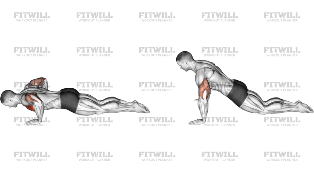 Kneeling Push-Up
