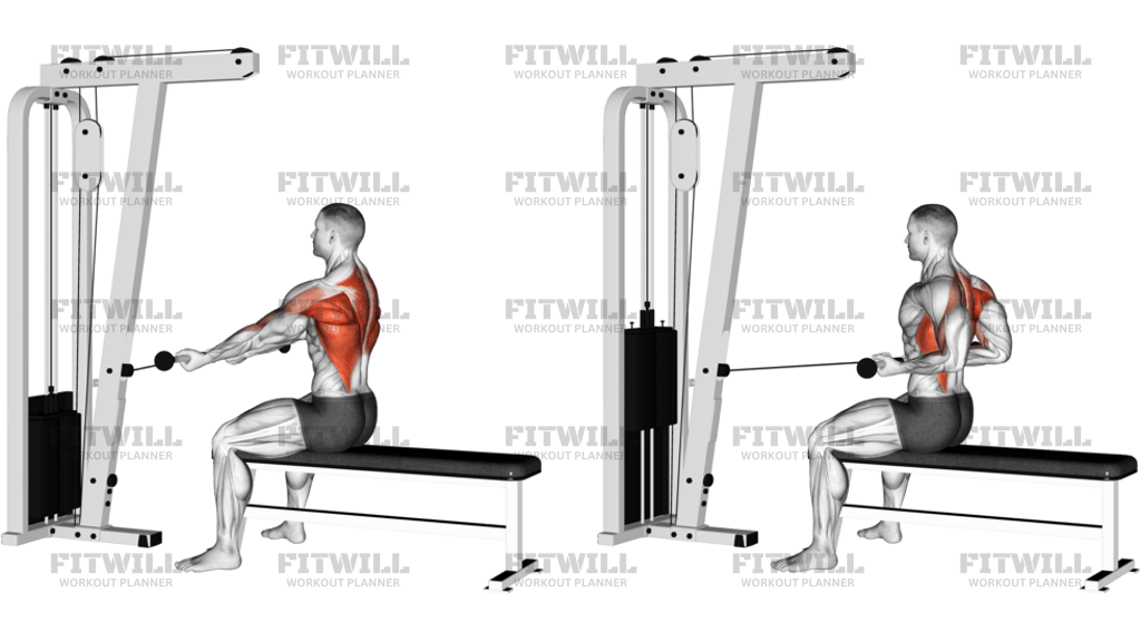 Cable Seated Supine-Grip Row
