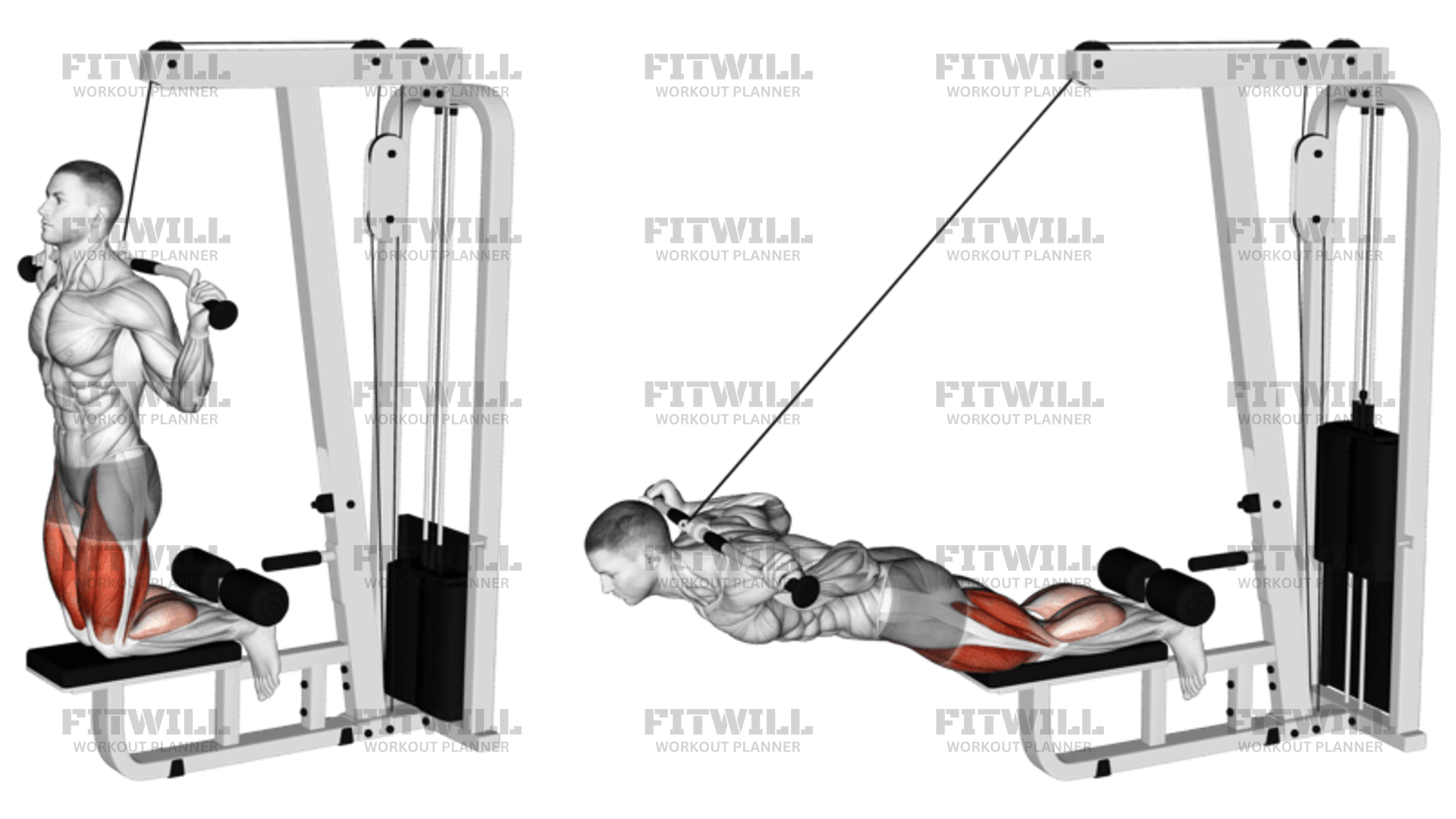 Cable Assisted Inverse Leg Curl Exercise Video Fitwill