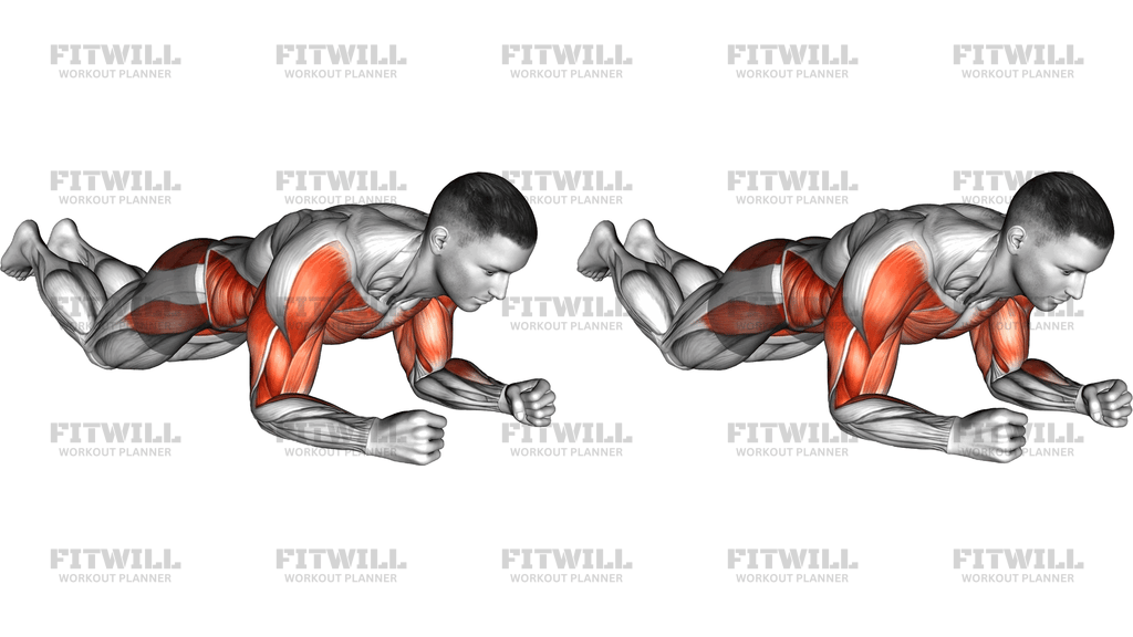 Kneeling Plank Tap Shoulder