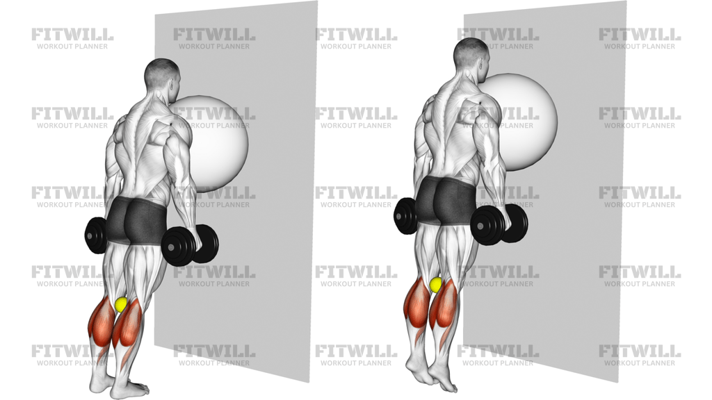 Exercise Ball On The Wall Calf Raise Tennis Ball Between Knees