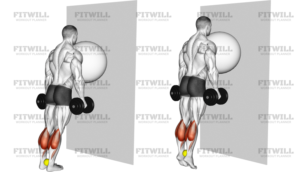 Exercise Ball On The Wall Calf Raise Tennis Ball Between Ankles