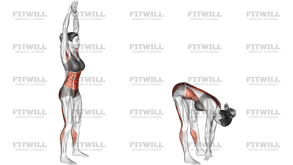 Front Toe Touching