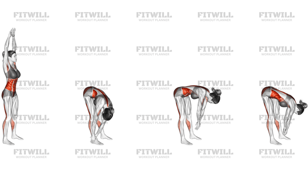 Side Toe Touching