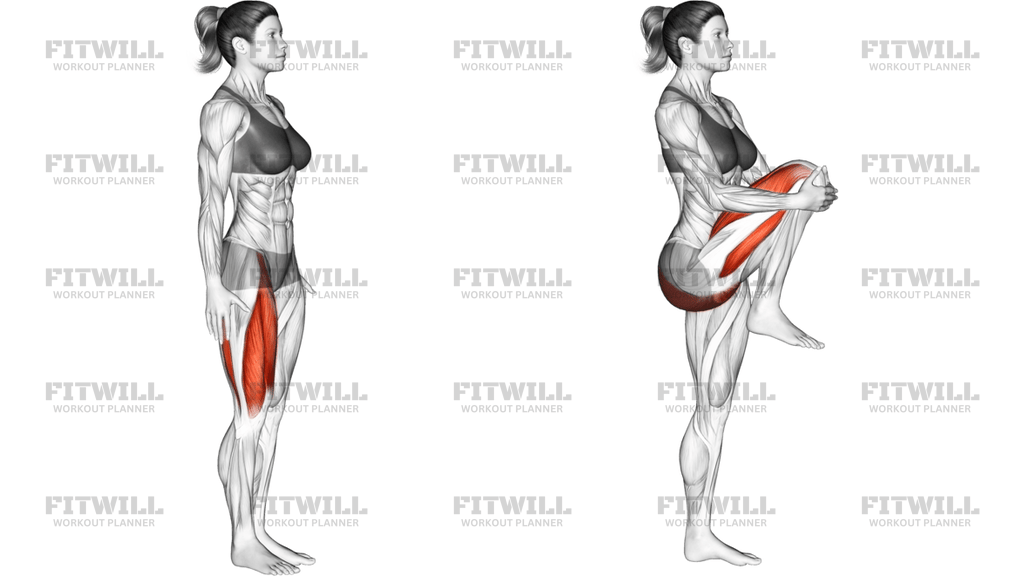 Knee Raise