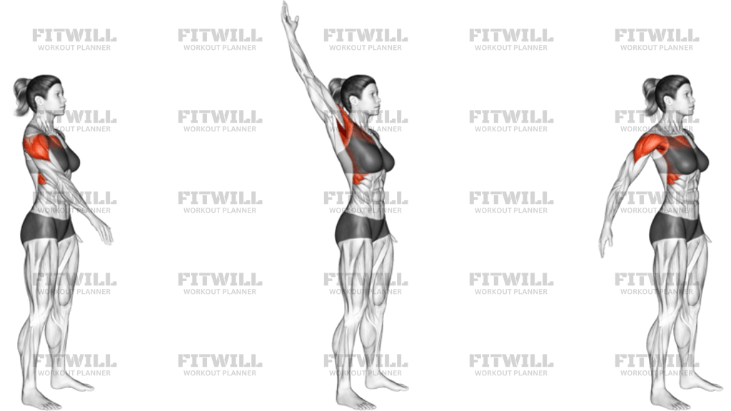Standing One-Arm Circling _shoulders