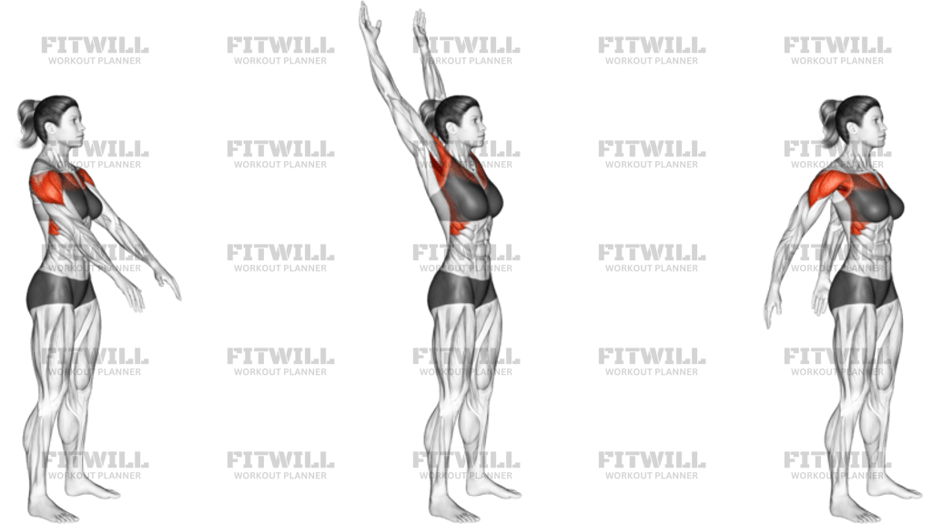Standing Arms Circling _shoulders