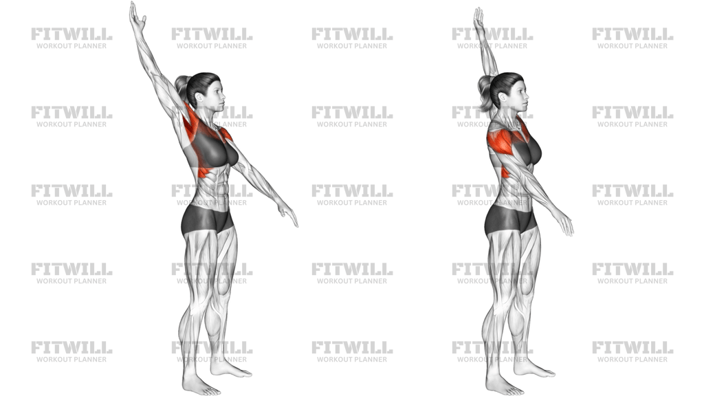 Standing Alternate Arms Circling _shoulders