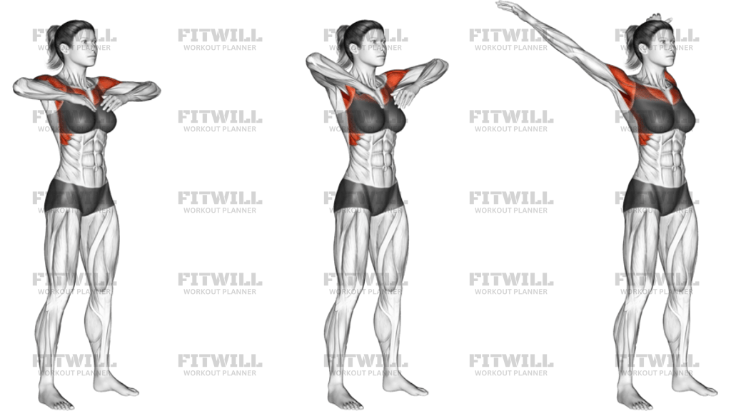 Standing Arms Flinging _shoulders