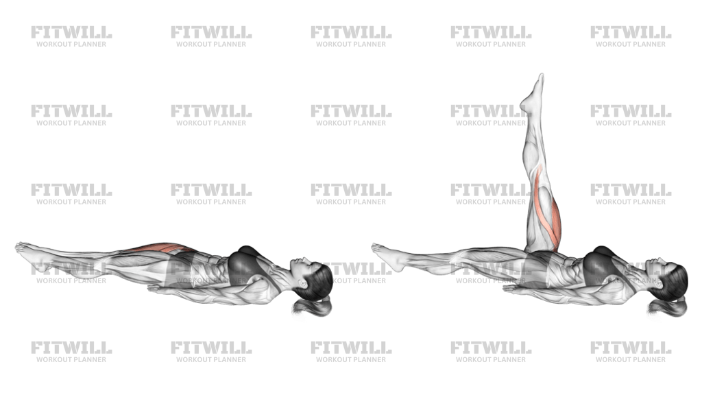 Lying Single Leg Raise Exercise Video Fitwill