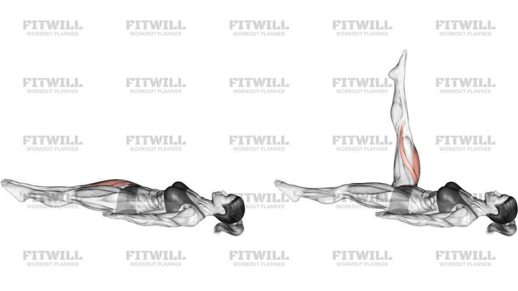 Lying Single Leg Raise