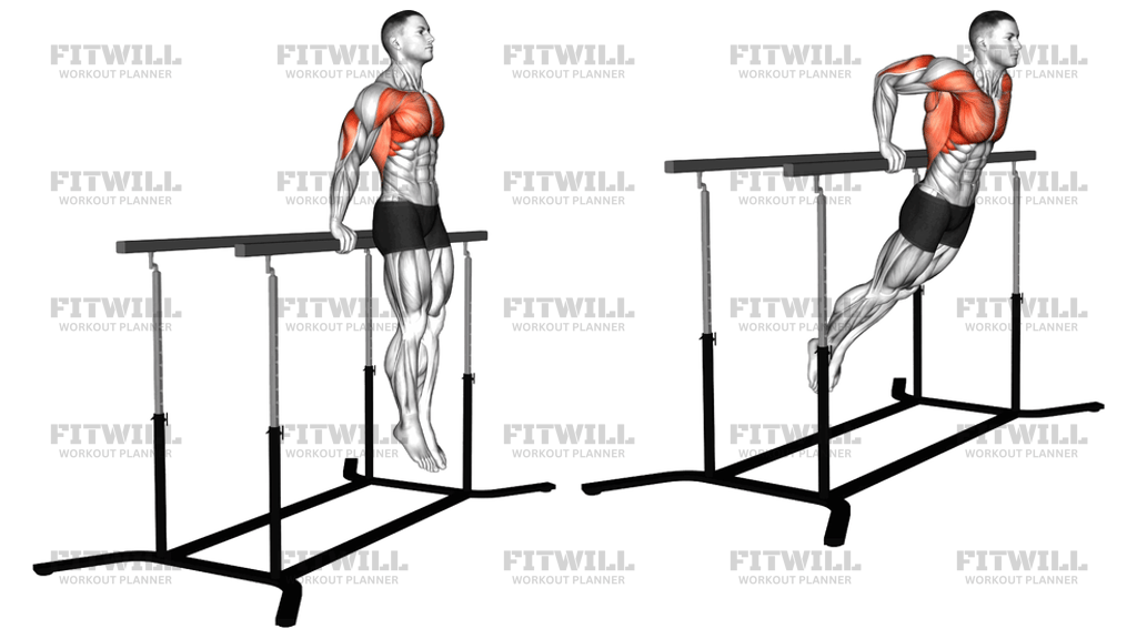 Korean Dips: Exercise Guide, Techniques, Benefits, How to, Muscles ...