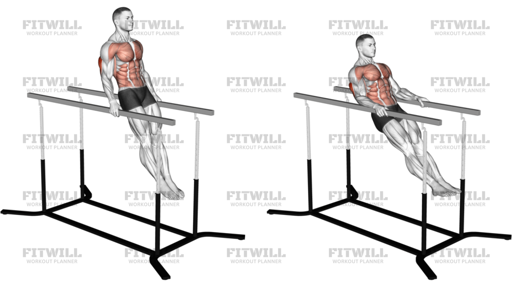 Impossible Dips: Exercise Guide, Techniques, Benefits, How to, Muscles ...