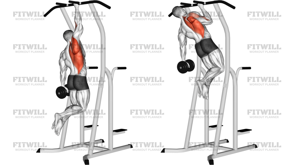 Weighted One Hand Pull-Up