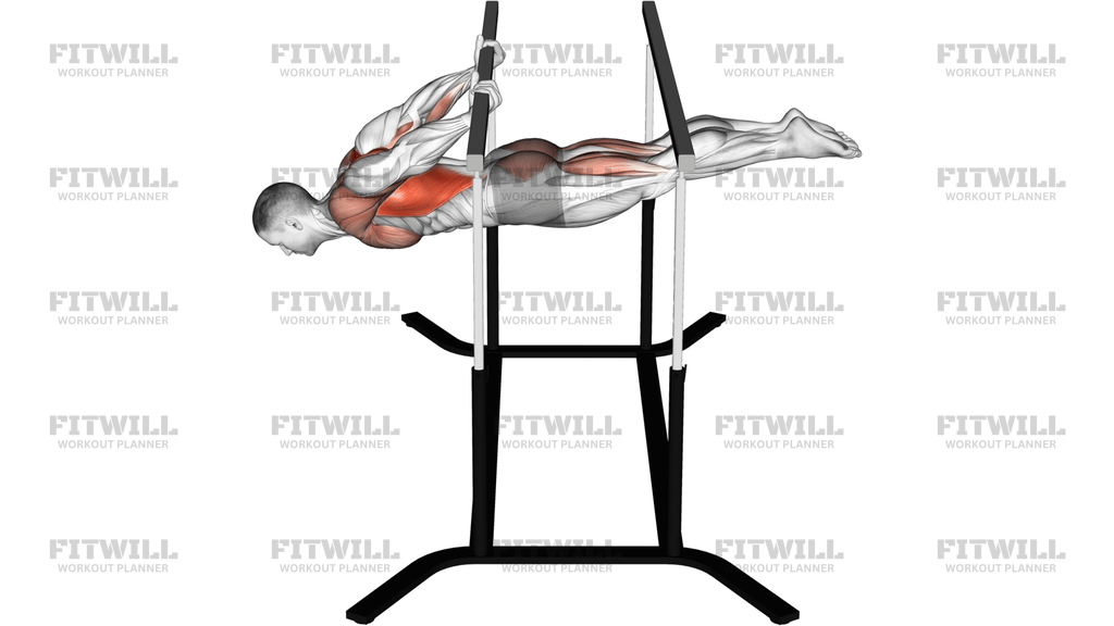 Back Lever