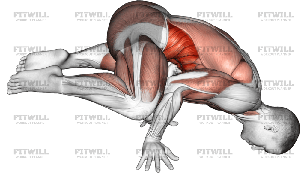 Frog Planche